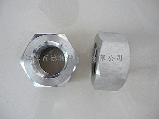 314不銹鋼螺母